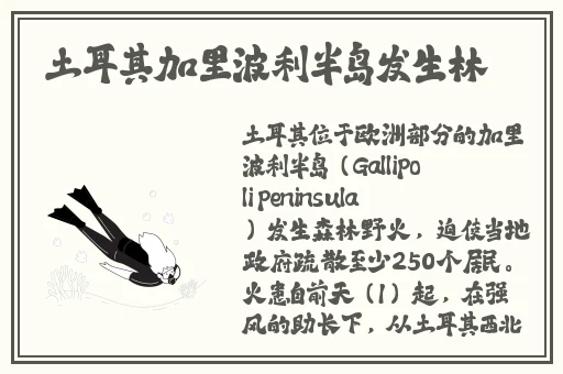 久久精品卡1卡2卡三卡免费网站